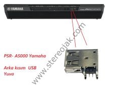 PSR- A5000 Yamaha    Arka kısım  USB  Yuva  (  Tek Adet  )   ( Dayanıklı Seri )