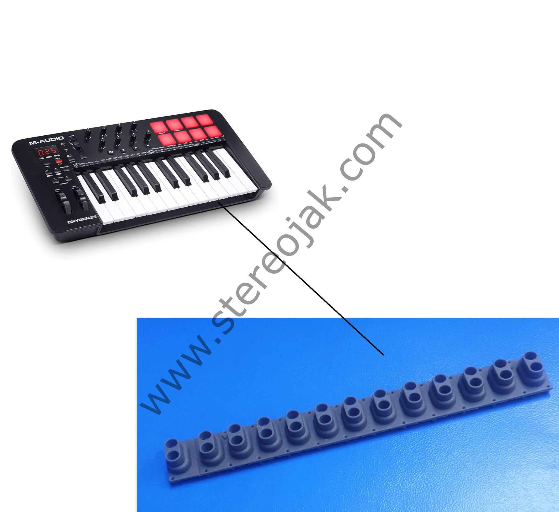 M-Audio Oxygen 25     Uyumlu Tuş Lastiği