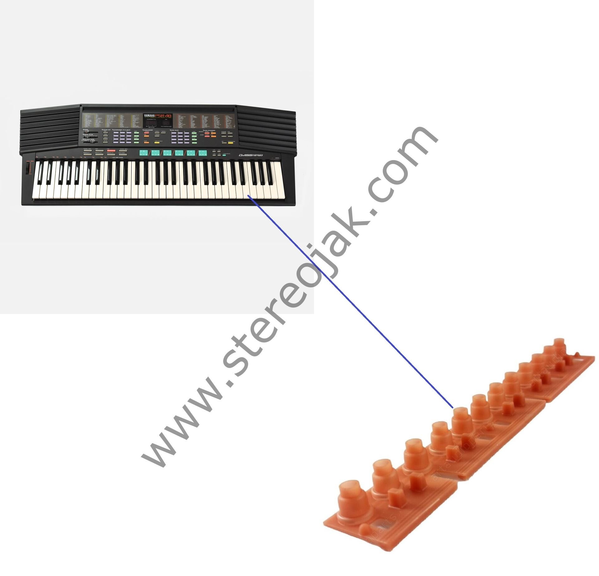 PSR-37     PSR-38             Tuş  Lastiği