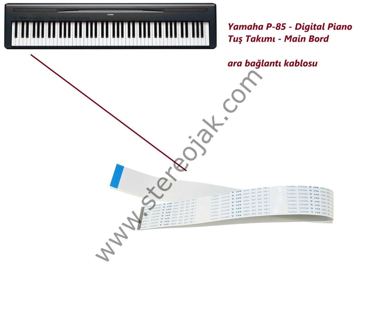 Yamaha P85 Dijital Piyano  uyumlu    Main Bord  ve  Tuş Takımı Arası  28 li  Bağlantı Kablosu     (  BANDO -SH - F - E660085 )         (   1.SINIF  KALİTE   UZUN ÖMÜRLÜ   KOTOBO KABLO  )