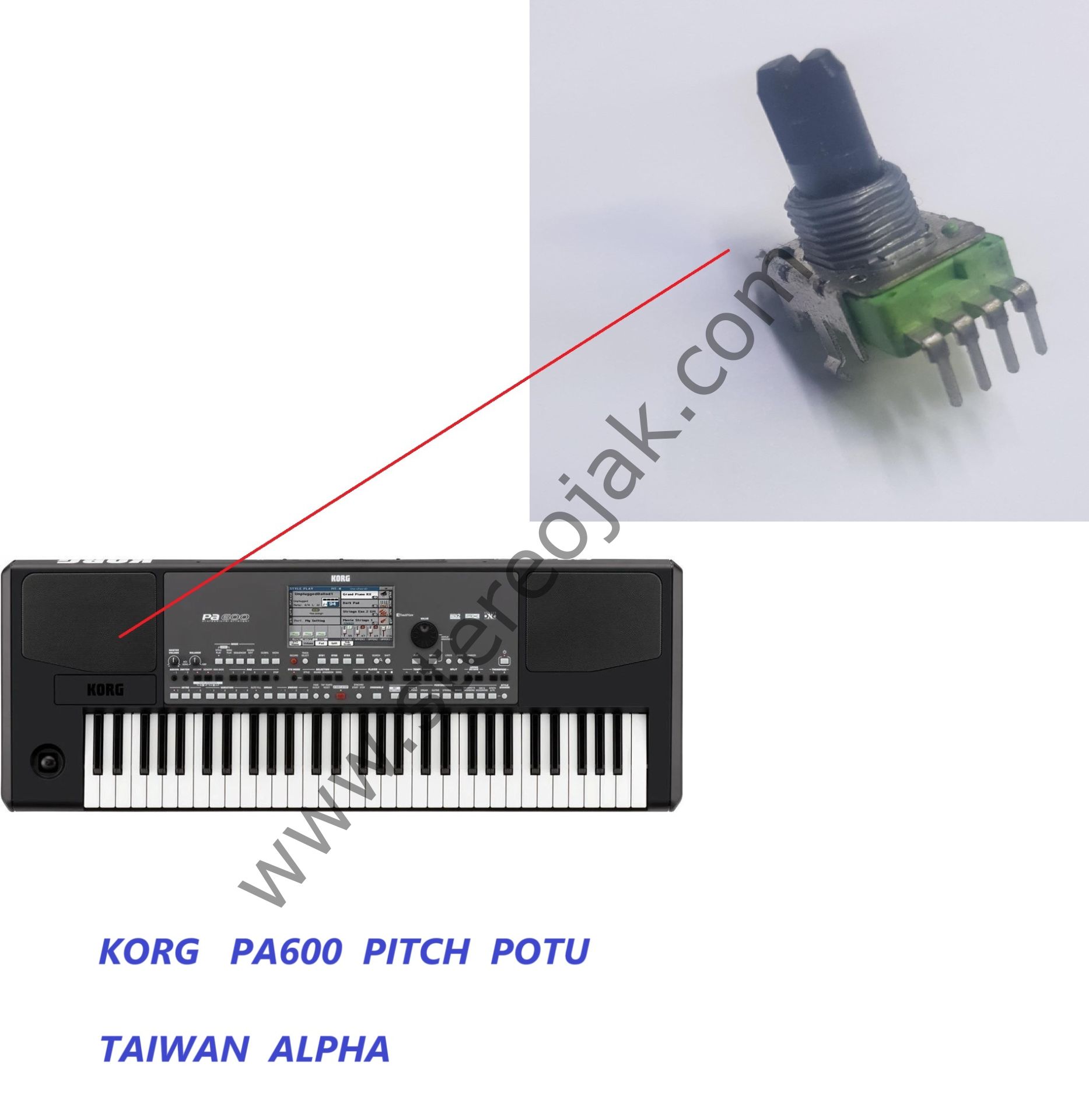 Korg PA600   PITCH  POTU