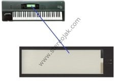 Korg 01/W    -   Korg O1  EKRAN FLORASANI    ELE33-WB  / PW12-447A2-C